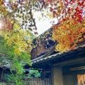 実際訪問したユーザーが直接撮影して投稿した上高野東山寺瑠璃光院の写真