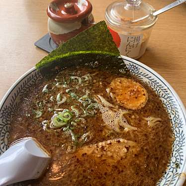 実際訪問したユーザーが直接撮影して投稿した上鳥羽鴨田ラーメン専門店丸源ラーメン 京都南インター店の写真