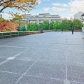 実際訪問したユーザーが直接撮影して投稿した千駄ヶ谷公園明治公園の写真