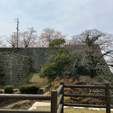 実際訪問したユーザーが直接撮影して投稿した城 / 城跡丸亀城 三の丸高石垣跡の写真