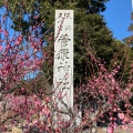 実際訪問したユーザーが直接撮影して投稿した国分町神社菅原神社の写真