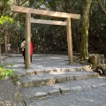 実際訪問したユーザーが直接撮影して投稿した宇治館町神社子安神社の写真