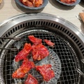 実際訪問したユーザーが直接撮影して投稿した黒山焼肉YAKINIKU BUFFET左近 ららぽーと堺店の写真