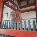 実際訪問したユーザーが直接撮影して投稿した北青山地域名所善光寺山門(風神雷神像・仁王像)の写真
