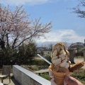 実際訪問したユーザーが直接撮影して投稿した大石カフェハナカフェ キキョウの写真