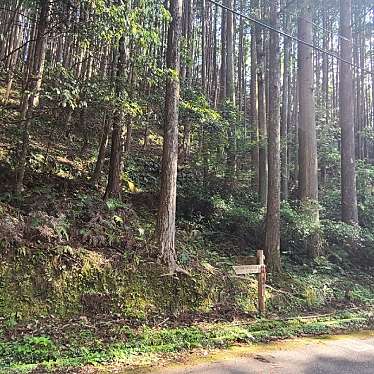 くまくまくまーさんが投稿した世界遺産のお店熊野古道/クマノコドウの写真