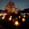 実際訪問したユーザーが直接撮影して投稿した長居公園植物園 / 樹木園チームラボ ボタニカルガーデン 大阪の写真