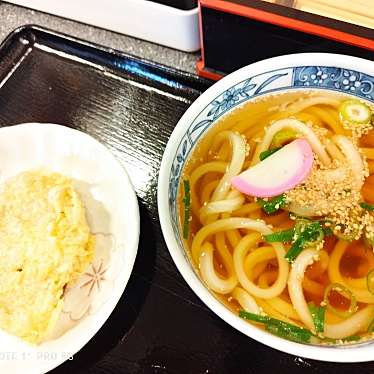 がおまさんが投稿した川内うどんのお店いよ路/シコクウドンイヨジの写真