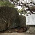 実際訪問したユーザーが直接撮影して投稿した東土堂町寺尾道 大宝山 千光寺の写真