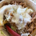 牛丼ライト - 実際訪問したユーザーが直接撮影して投稿した中央通牛丼すき家 豊川中央通店の写真のメニュー情報