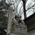 実際訪問したユーザーが直接撮影して投稿した岸町神社調神社の写真