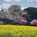 実際訪問したユーザーが直接撮影して投稿した土呂町公園見晴公園の写真