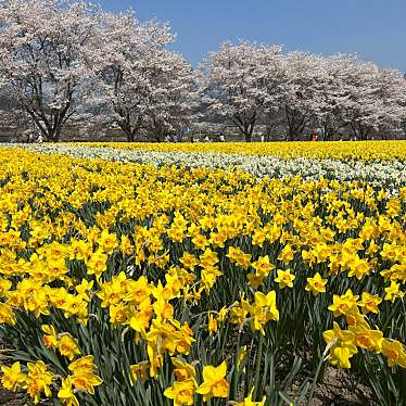 岩井親水公園のundefinedに実際訪問訪問したユーザーunknownさんが新しく投稿した新着口コミの写真