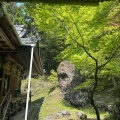 実際訪問したユーザーが直接撮影して投稿した引佐町奥山寺方広寺の写真