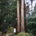 実際訪問したユーザーが直接撮影して投稿した織田神社越前二の宮 劔神社の写真