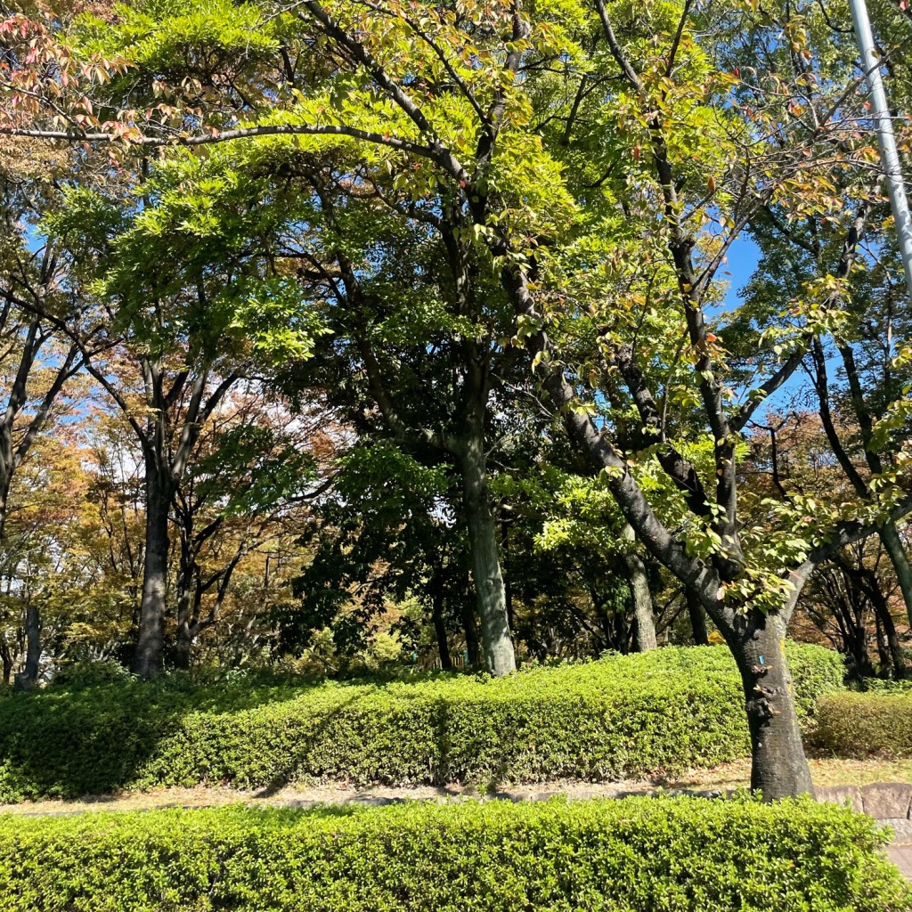 実際訪問したユーザーが直接撮影して投稿した六野公園神宮東公園北側エリアの写真