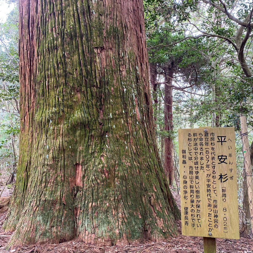 実際訪問したユーザーが直接撮影して投稿した湯山山 / 峠市房山の写真