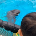 実際訪問したユーザーが直接撮影して投稿した石川水族館 / アクアリウムオキちゃん劇場の写真