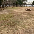 実際訪問したユーザーが直接撮影して投稿した河原井町バーベキュー場久喜菖蒲公園 バーベキュー場の写真