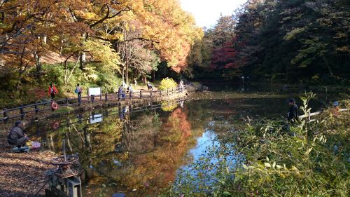 実際訪問したユーザーが直接撮影して投稿した狩場町公園横浜市児童遊園地の写真