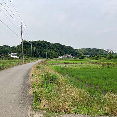 実際訪問したユーザーが直接撮影して投稿した河川印旛沼の写真