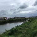 実際訪問したユーザーが直接撮影して投稿した河川藻川の写真