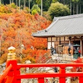 実際訪問したユーザーが直接撮影して投稿した萩尾寺呑山観音寺の写真