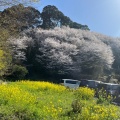 実際訪問したユーザーが直接撮影して投稿した秋月野鳥喫茶店黒門茶屋の写真