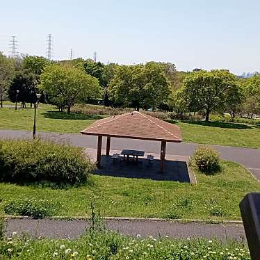 実際訪問したユーザーが直接撮影して投稿した古千谷公園朝日の広場の写真