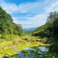 実際訪問したユーザーが直接撮影して投稿した入山公園チャツボミゴケ公園の写真