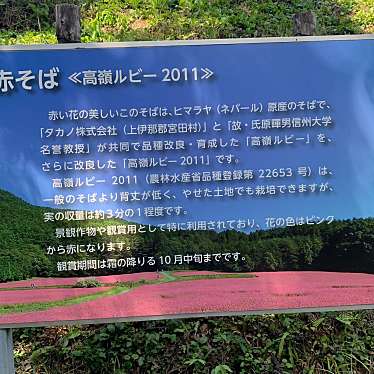 実際訪問したユーザーが直接撮影して投稿した自然名所信州伊那高原赤そばの里の写真
