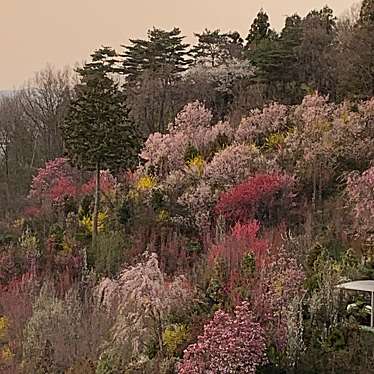 実際訪問したユーザーが直接撮影して投稿した飯野町公園花やしき公園の写真