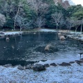 実際訪問したユーザーが直接撮影して投稿したおゆみ野中央公園大百池公園の写真