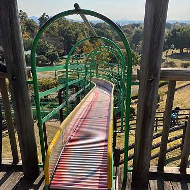 実際訪問したユーザーが直接撮影して投稿した富岡公園ひばりヶ丘公園の写真