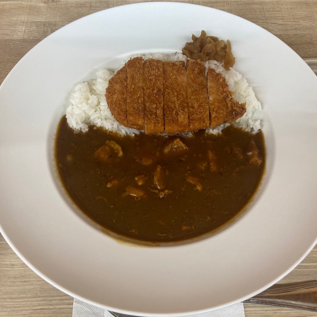 ユーザーが投稿した熟成ロースかつカレーの写真 - 実際訪問したユーザーが直接撮影して投稿した本郷郷土料理レストラン かどやてらすの写真