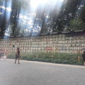 実際訪問したユーザーが直接撮影して投稿した代々木神園町地域名所明治神宮 奉献酒樽の写真