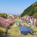 実際訪問したユーザーが直接撮影して投稿した南濃町羽沢公園羽根谷だんだん公園の写真