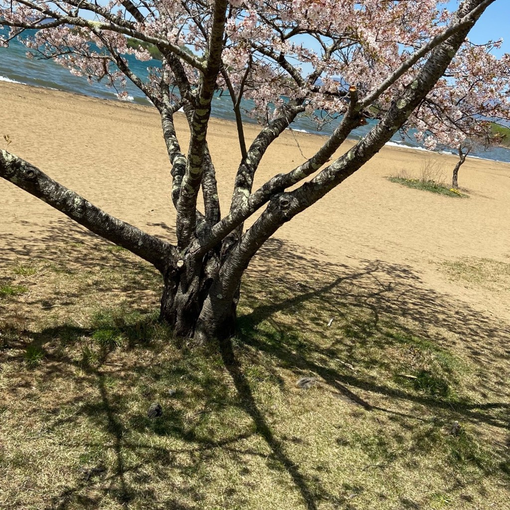 実際訪問したユーザーが直接撮影して投稿した壺楊軽食 / ホットスナックレイクサイド磐光  志田浜湖畔食堂の写真