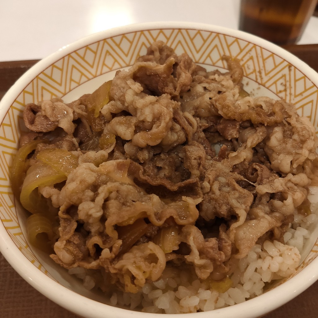 ユーザーが投稿した牛丼の写真 - 実際訪問したユーザーが直接撮影して投稿した今江町牛丼すき家 305号小松今江店の写真