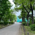 実際訪問したユーザーが直接撮影して投稿した浅草公園隅田公園の写真