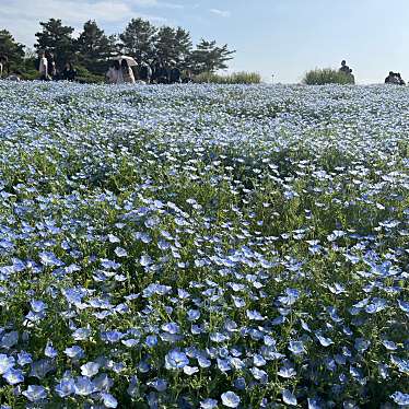 国営昭和記念公園のundefinedに実際訪問訪問したユーザーunknownさんが新しく投稿した新着口コミの写真