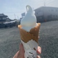 実際訪問したユーザーが直接撮影して投稿した野々島アイスクリームKumamoto milkの写真