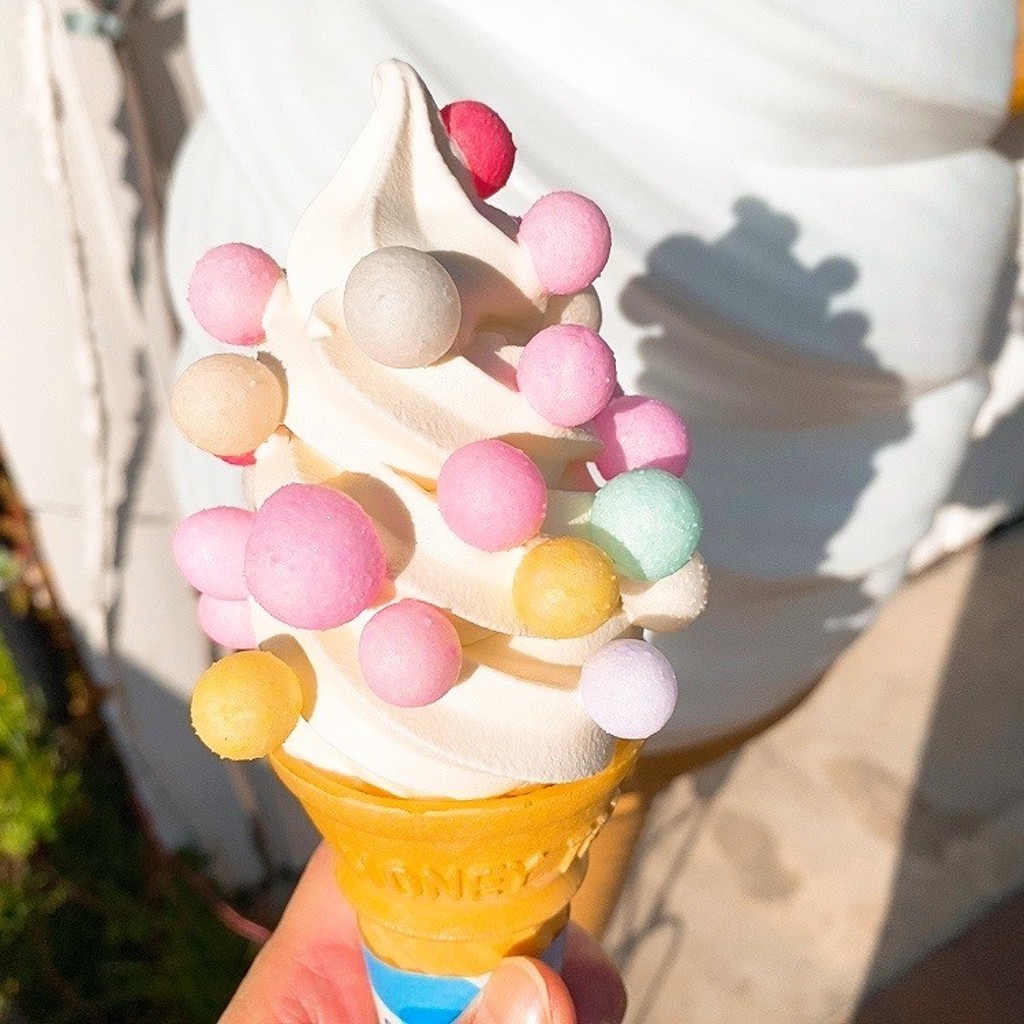 ユーザーが投稿したおいりソフトの写真 - 実際訪問したユーザーが直接撮影して投稿した北二十四条西アイスクリームカラメル雑菓店 北24の写真