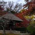 実際訪問したユーザーが直接撮影して投稿した山ノ内寺長寿寺の写真