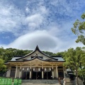 実際訪問したユーザーが直接撮影して投稿した多聞通神社湊川神社の写真