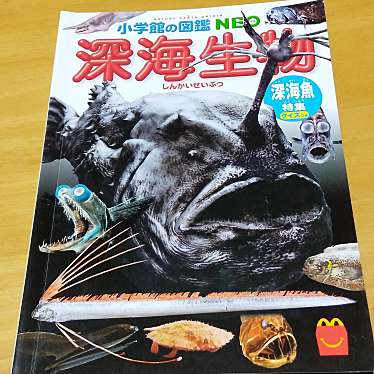 実際訪問したユーザーが直接撮影して投稿した鴻池町ファーストフードマクドナルド イオン鴻池店の写真