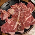 実際訪問したユーザーが直接撮影して投稿した溝口焼肉焼肉ホルモン 溝の口 ひゃくてんの写真