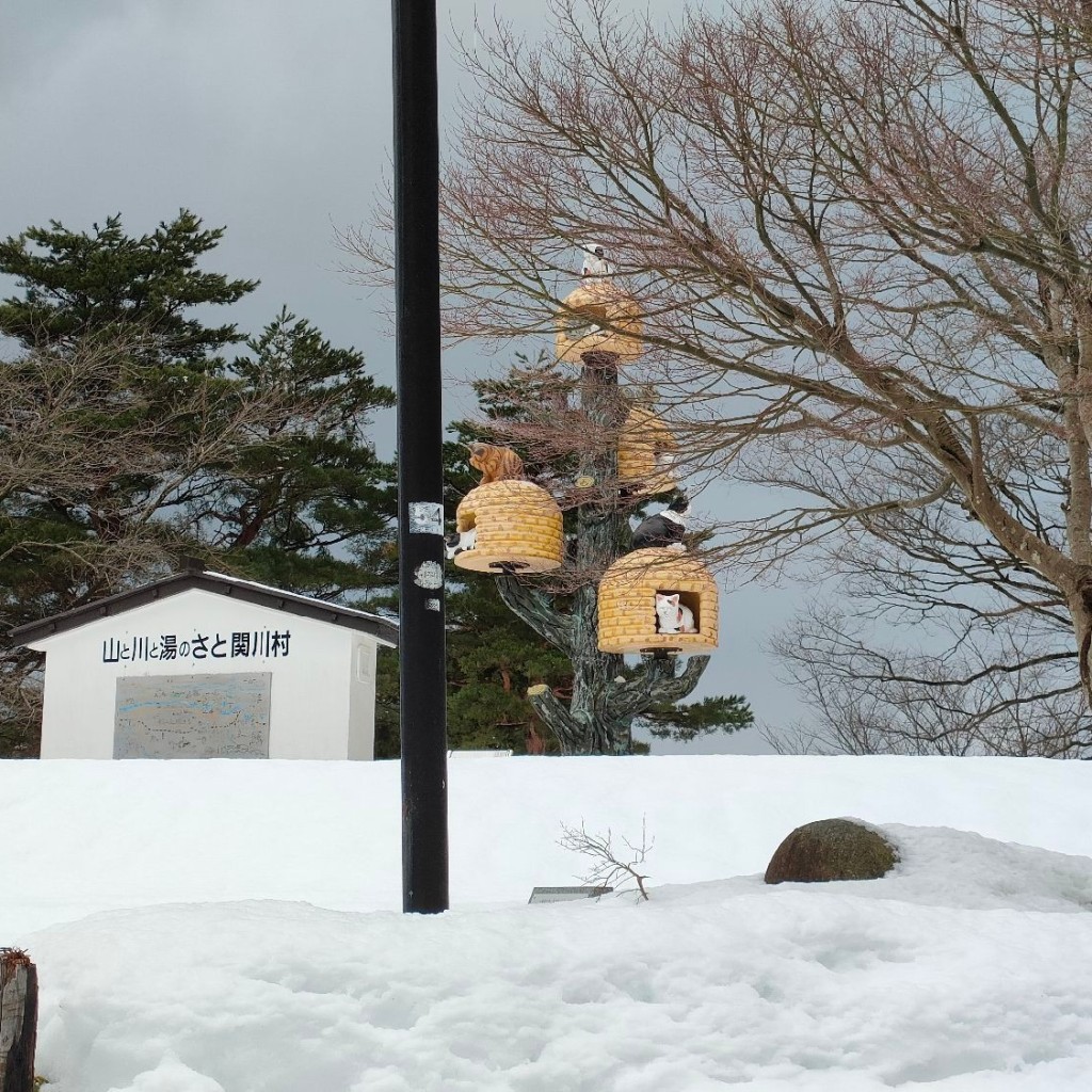 実際訪問したユーザーが直接撮影して投稿した楢木新田公園お野立公園の写真