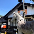 実際訪問したユーザーが直接撮影して投稿した小野カフェHAPPY cafe 食堂の写真