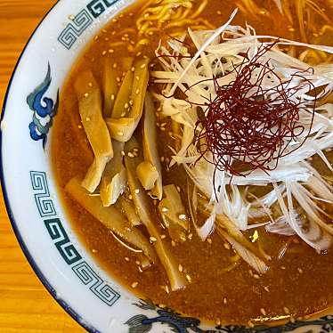 実際訪問したユーザーが直接撮影して投稿した山田ラーメン / つけ麺旭川ラーメン登山軒の写真